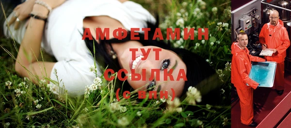 ПСИЛОЦИБИНОВЫЕ ГРИБЫ Беломорск