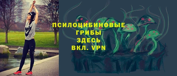 метамфетамин Белокуриха