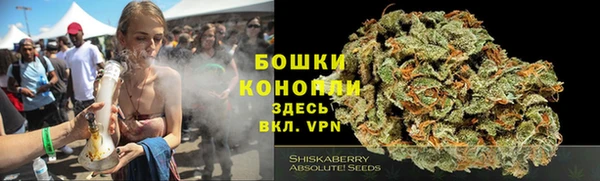 метамфетамин Белокуриха