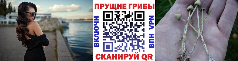 Псилоцибиновые грибы MAGIC MUSHROOMS  Тюмень 